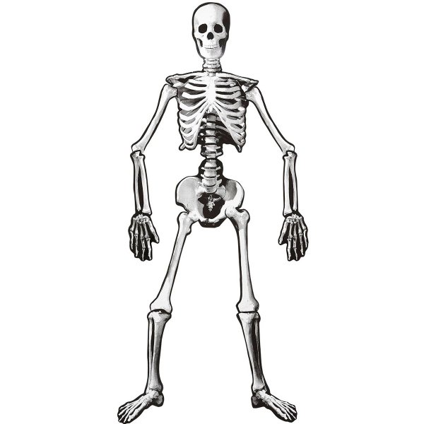 Αποκριάτικος Σκελετός 